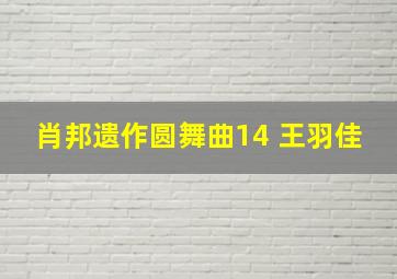 肖邦遗作圆舞曲14 王羽佳